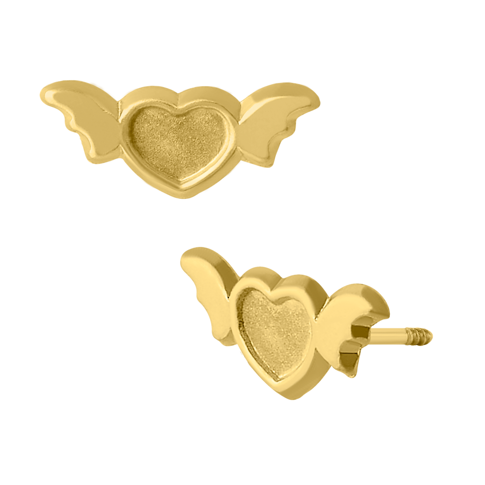 Corazon con alas
