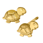 Tortuga sochapada