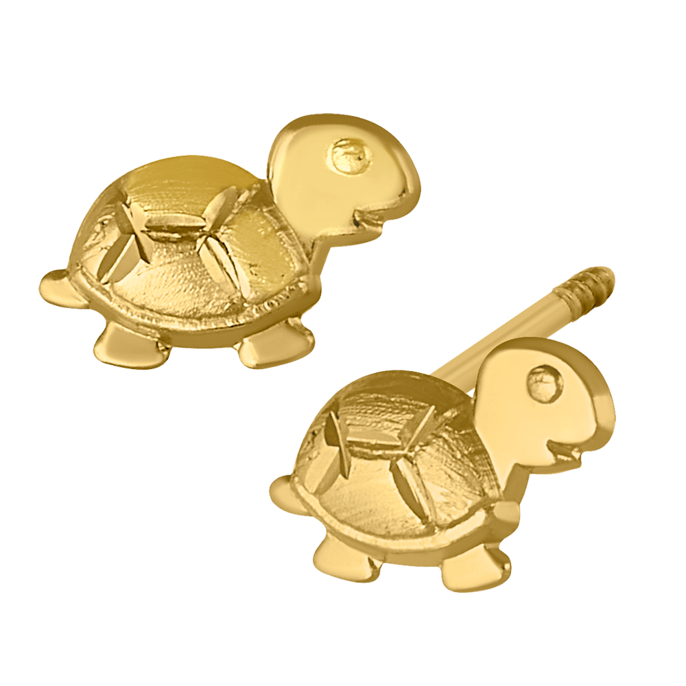 Tortuga sochapada