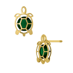 Tortuga #6