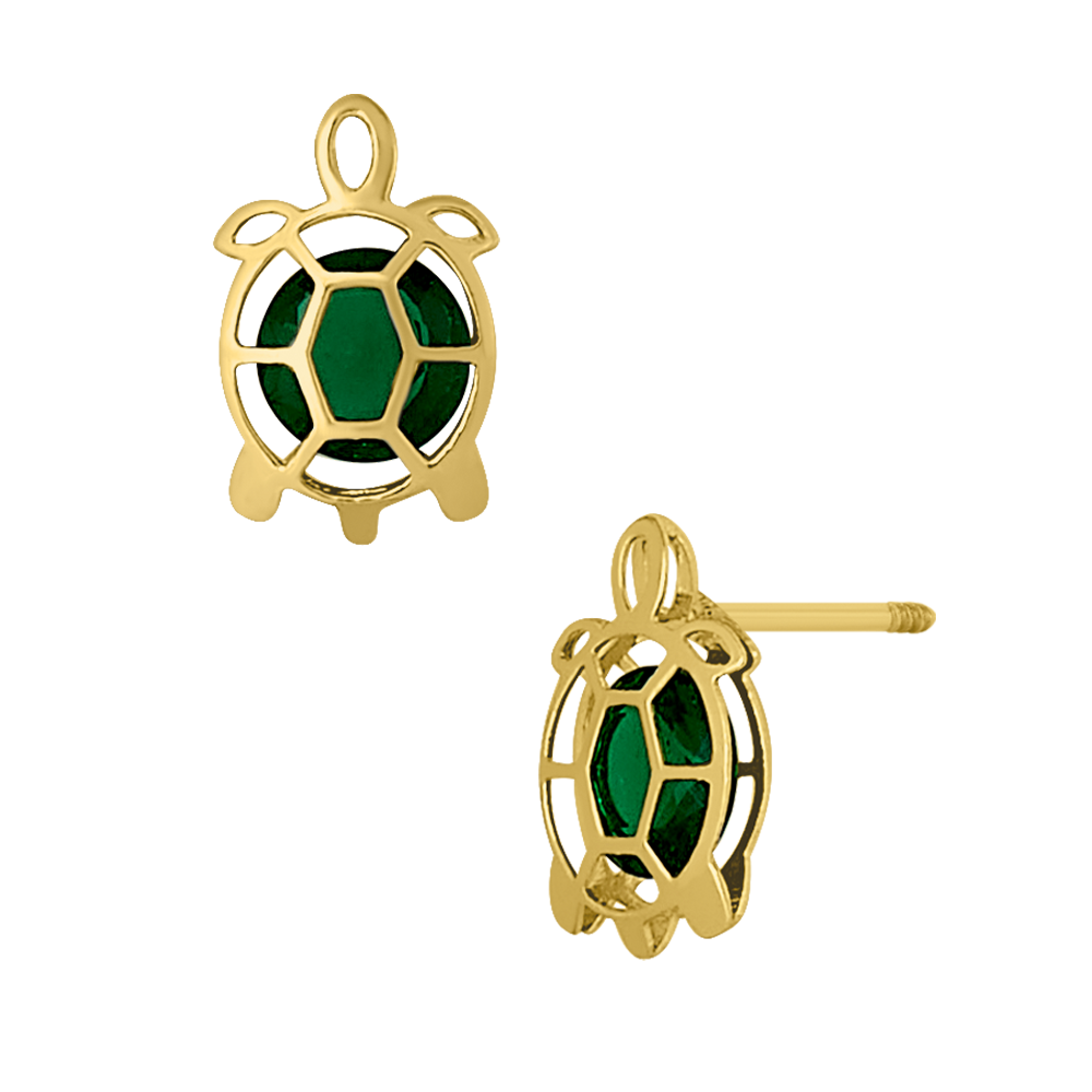 Tortuga #6
