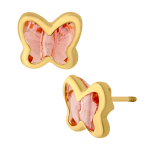 MARIPOSA DE ZWA.