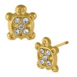Tortuga mini con piedras