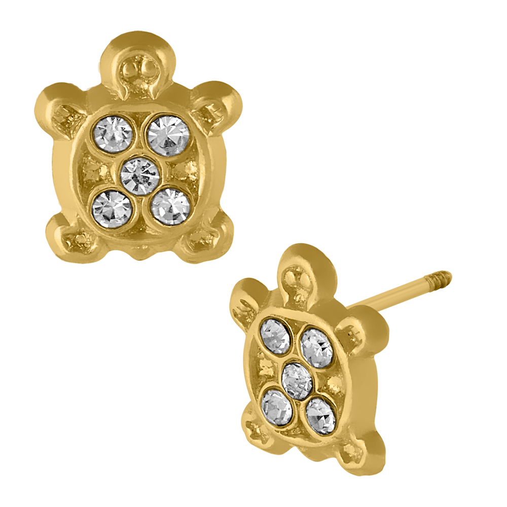 Tortuga mini con piedras