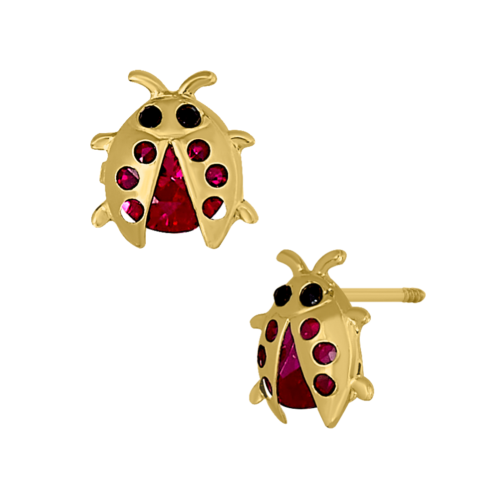 Catarina del 6 pp