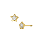 BISEL ESTRELLA DEL 3