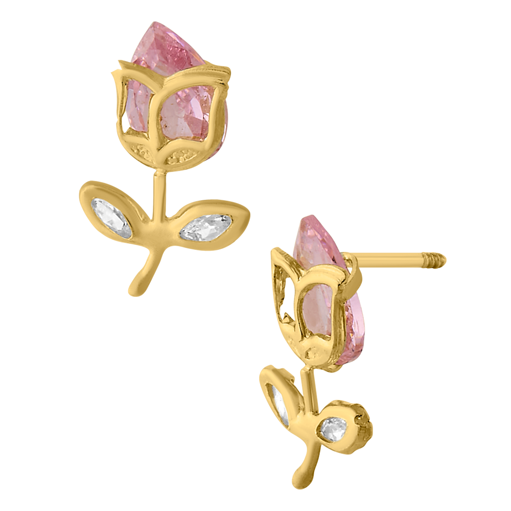 TULIPAN 6X4