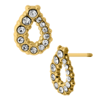 GOTA DESVANECIDA