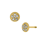 Circulo de papelillo