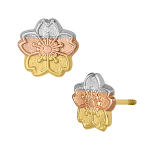 Flor de loto de colores