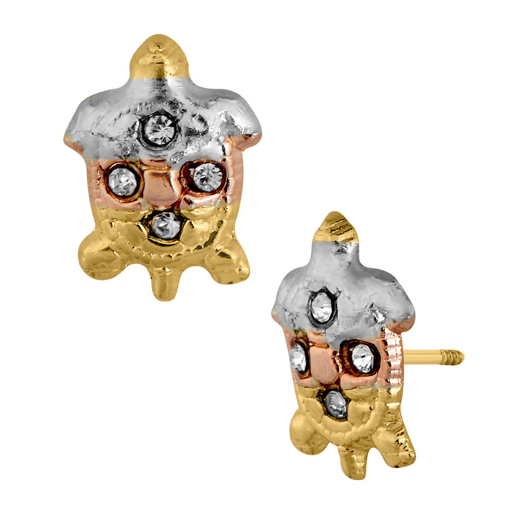 Tortuga de colores con piedra