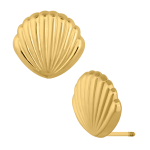 Concha rodisada