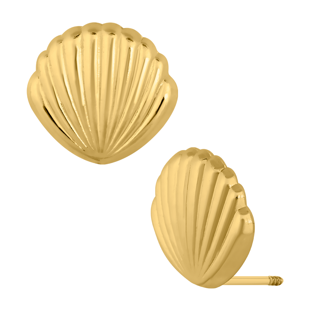 Concha rodisada