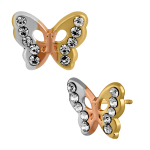 MARIPOSA RESACADA DE COLORES