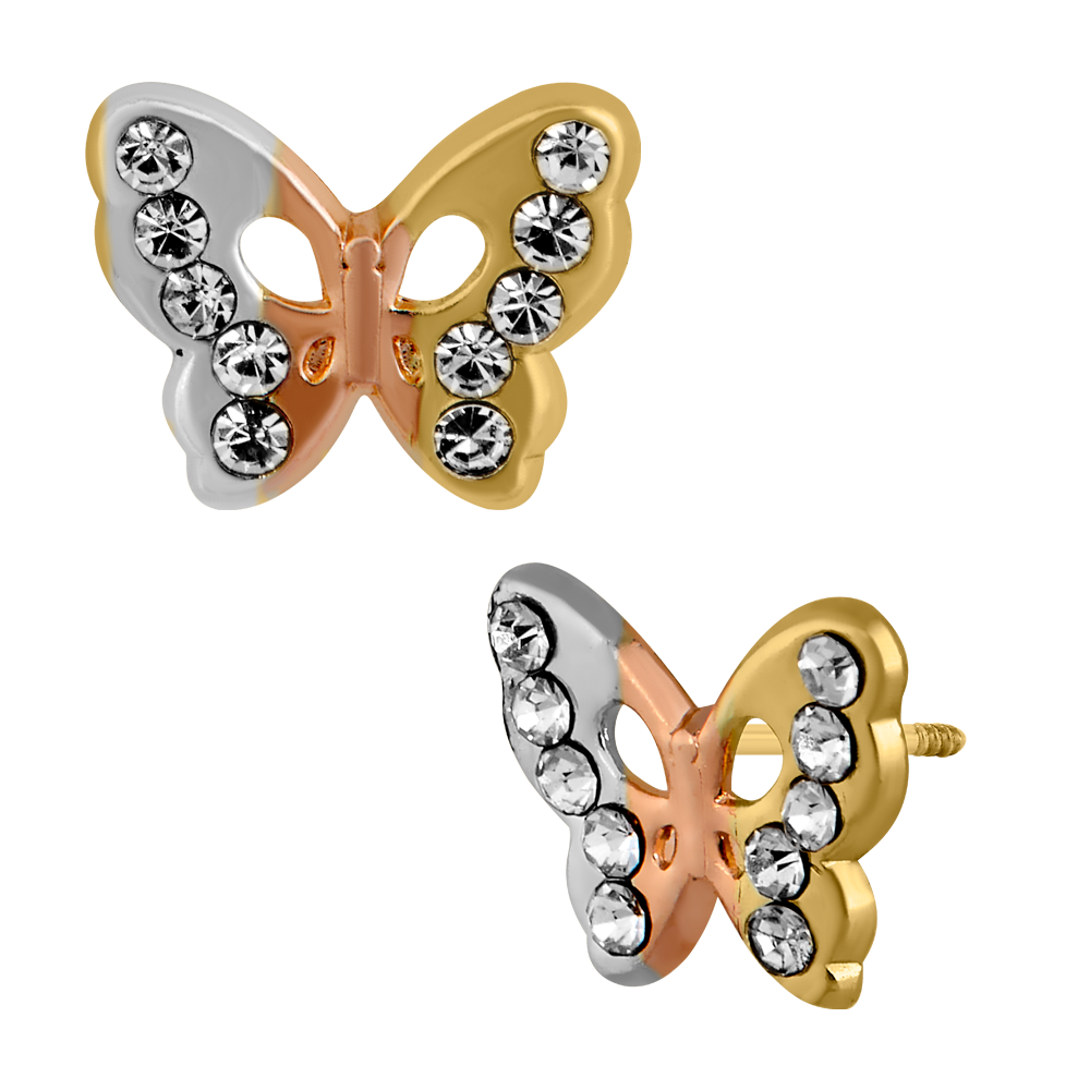 MARIPOSA RESACADA DE COLORES