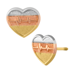 corazon cardio de colores